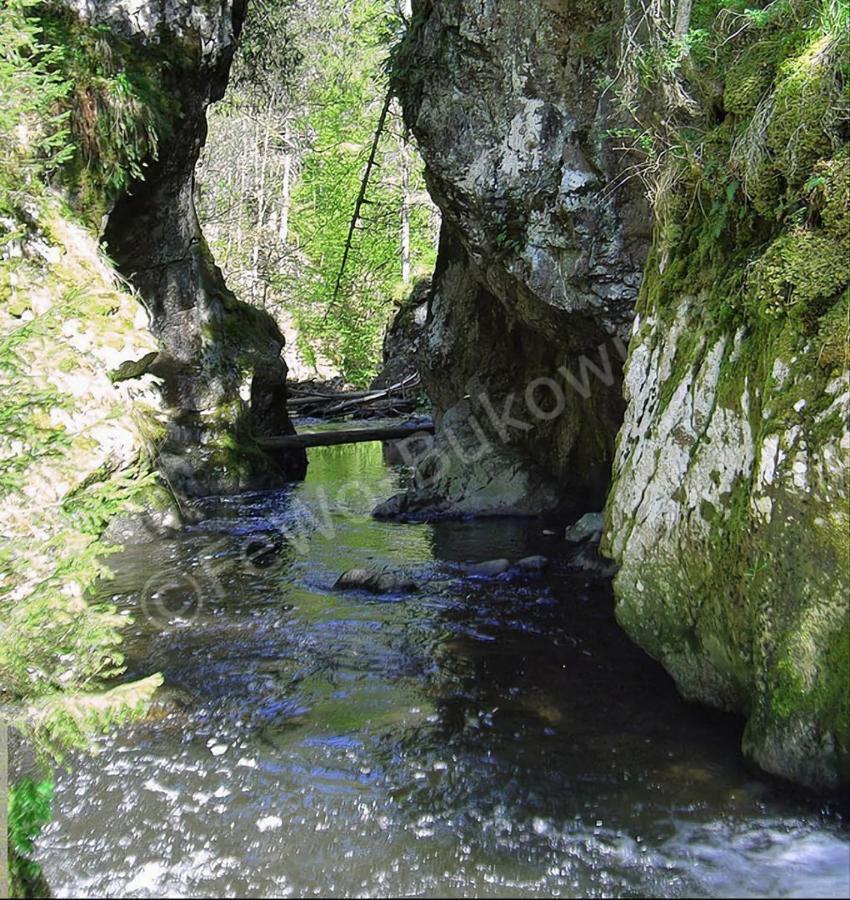 Fewo Bukowina Waldshut-Tiengen Εξωτερικό φωτογραφία