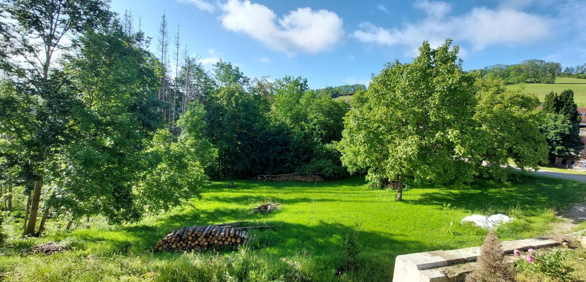 Fewo Bukowina Waldshut-Tiengen Εξωτερικό φωτογραφία